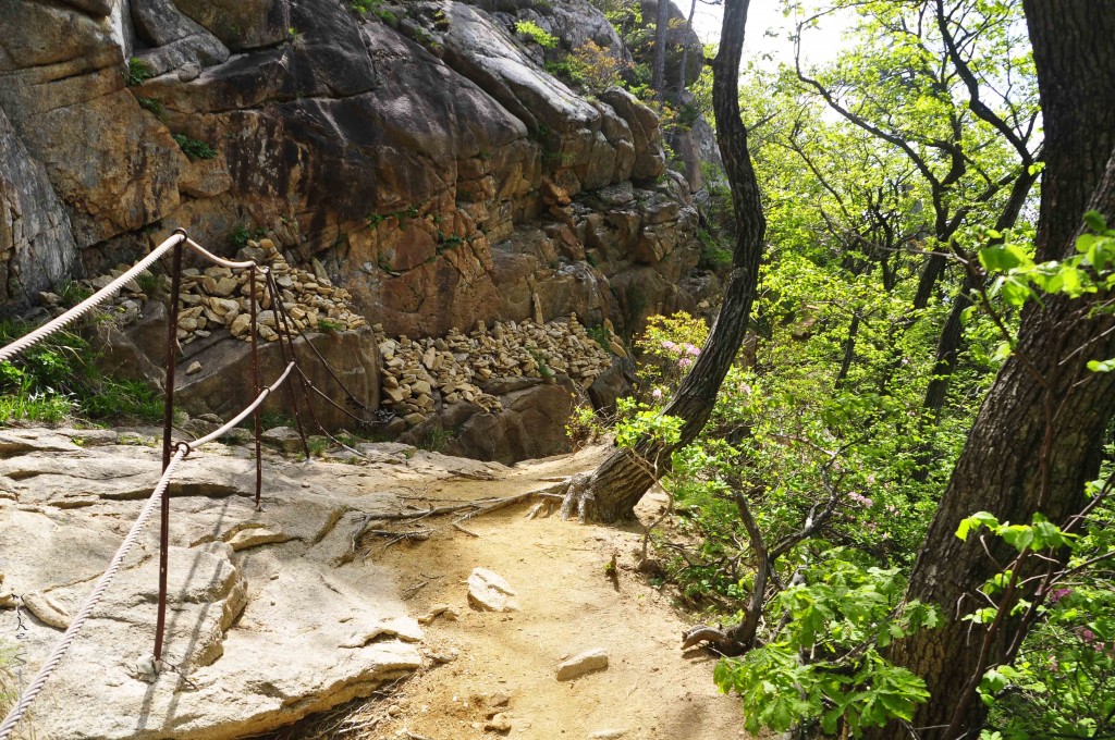 Found the path again - Dinosaur Ridge