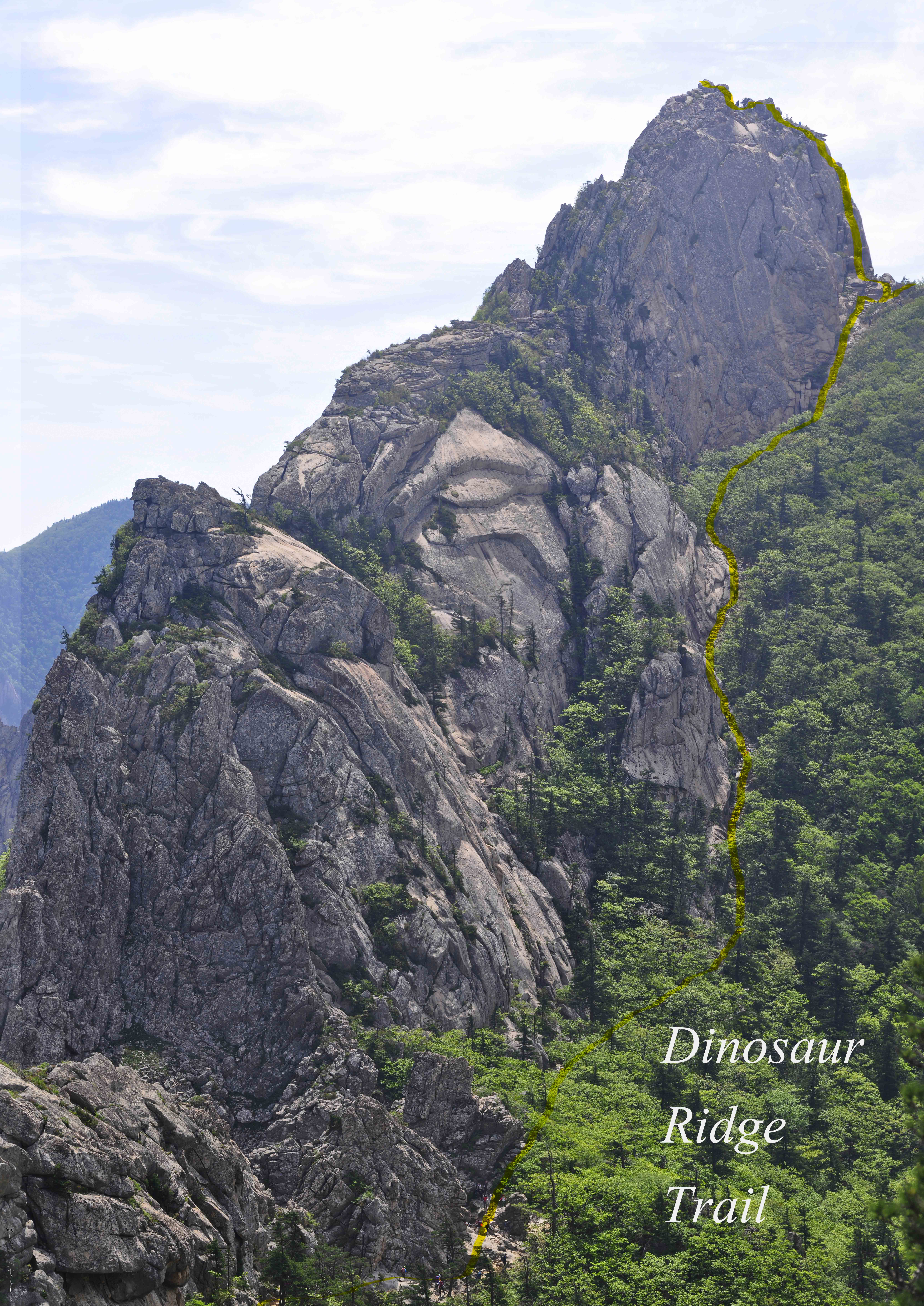 Dinosaur Ridge's Trail to the highest peak