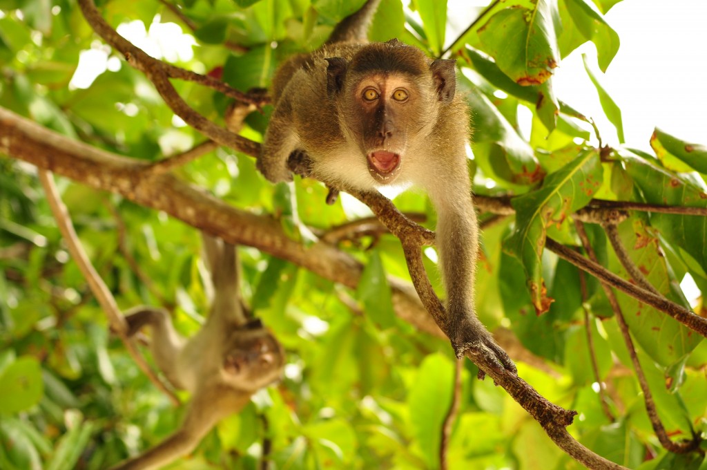 _DSC0603