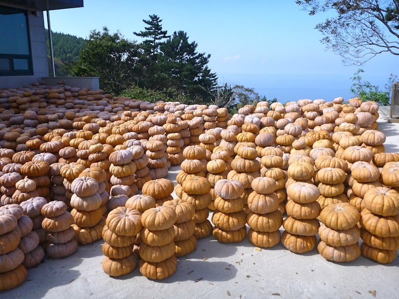 Pumpkin