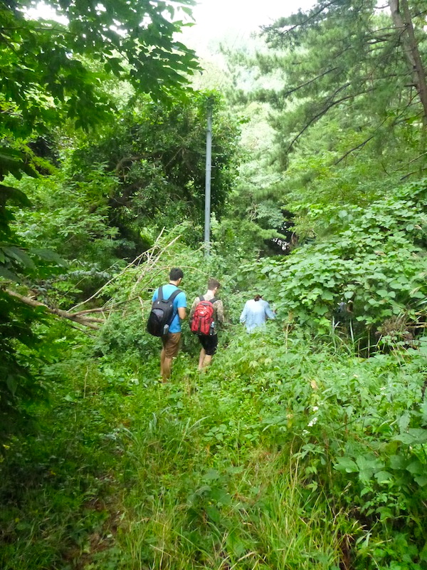 Ulleungdo Island