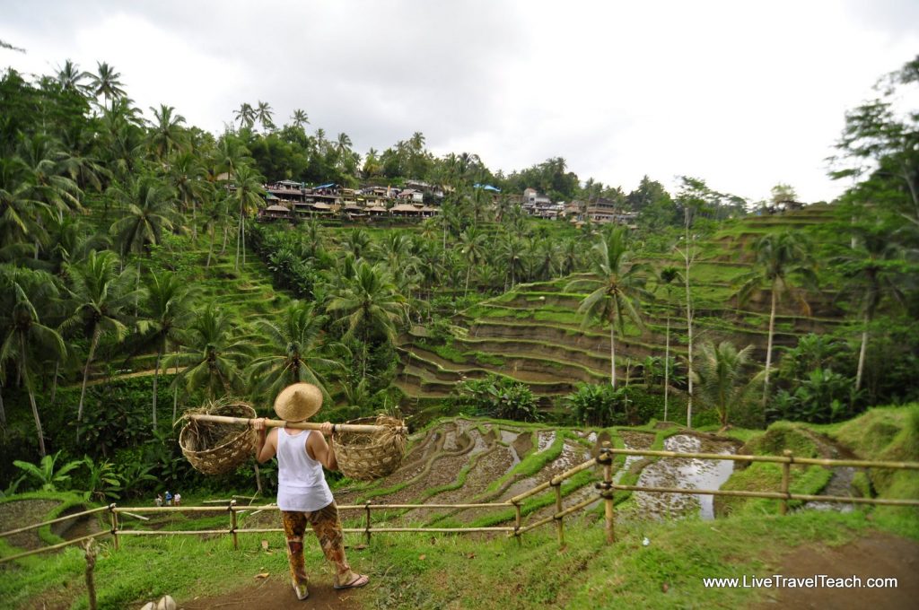 trekking Tegalalang Rice Terraces Ubud Bali