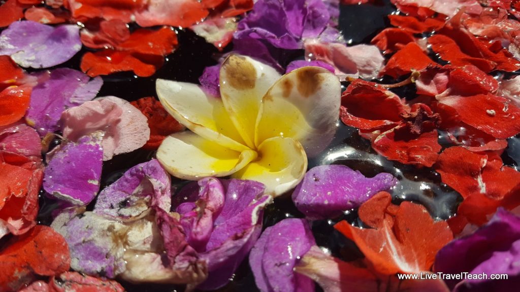 flower bath Beji Ayu healing sanctuary Ubud Bali