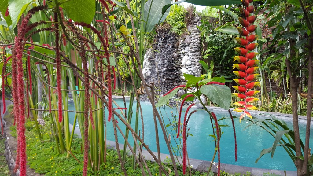 ubud bali