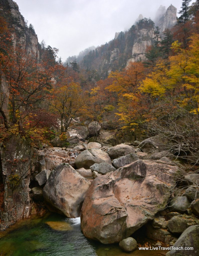 dsc_0343-001