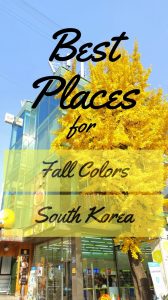 Best Places for Fall Colors in South Korea