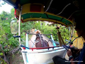 DCIM116GOPRO