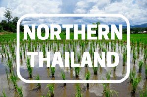 n-thailand-button