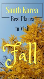 Best Places For Fall Colors in South Korea