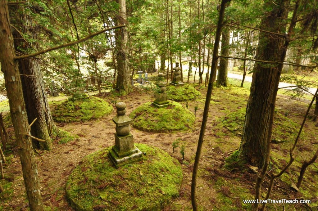 mount koya temple stay