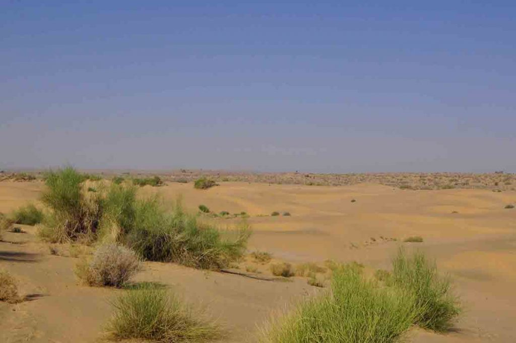 best place for camel safari in india