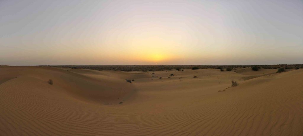 the real deal rajasthan camel safari