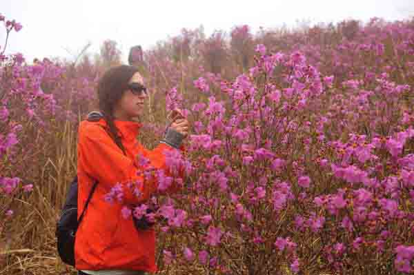 Geoje's Pink Mountain Geoje's Pink Mountain