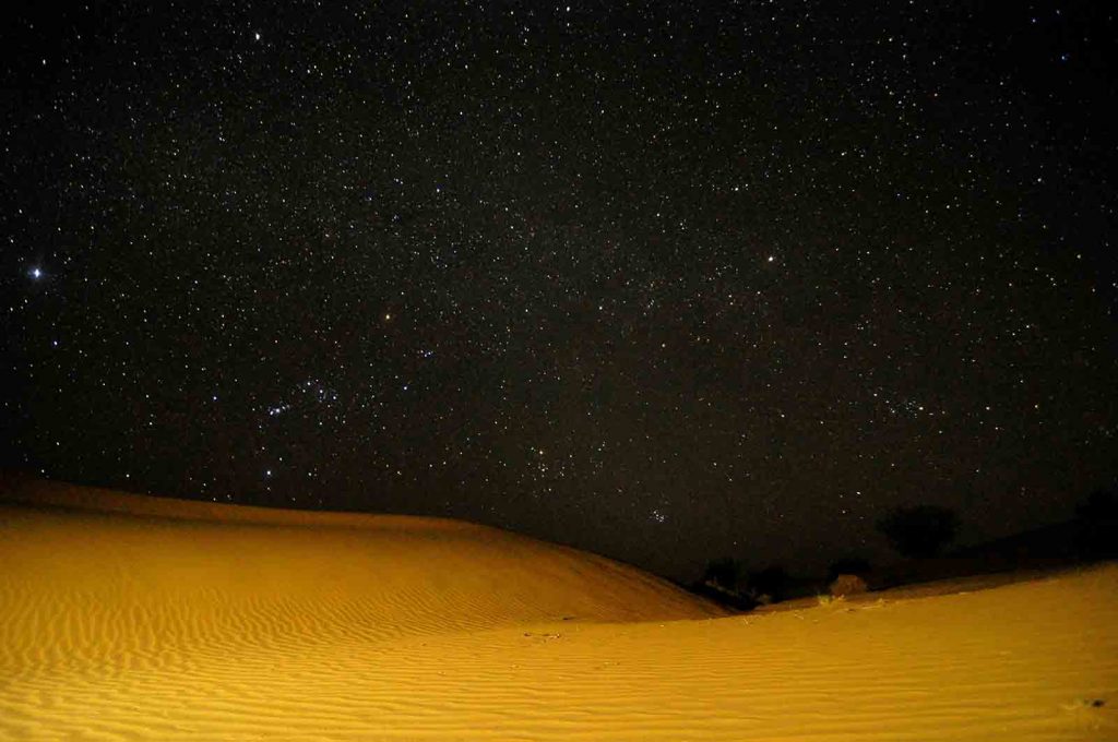 night safari jaisalmer