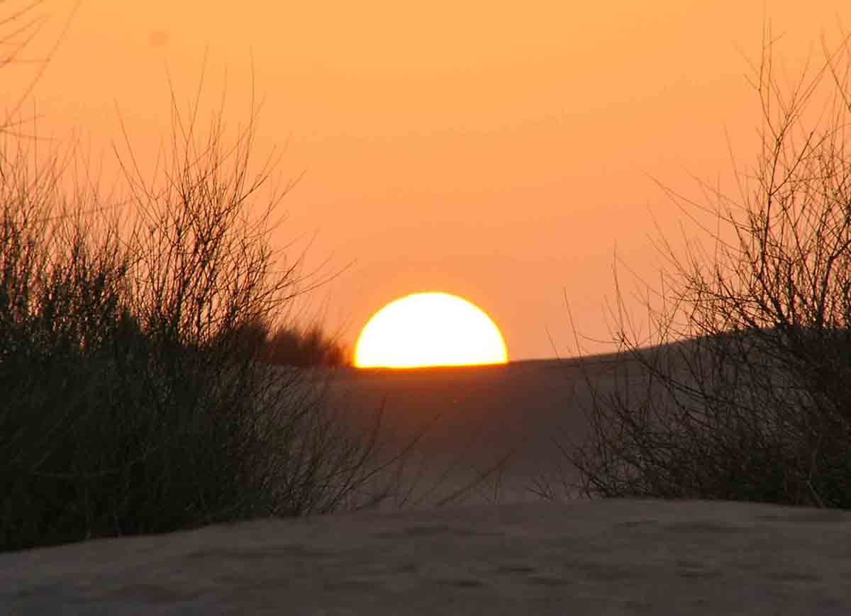 best camel safari jaisalmer