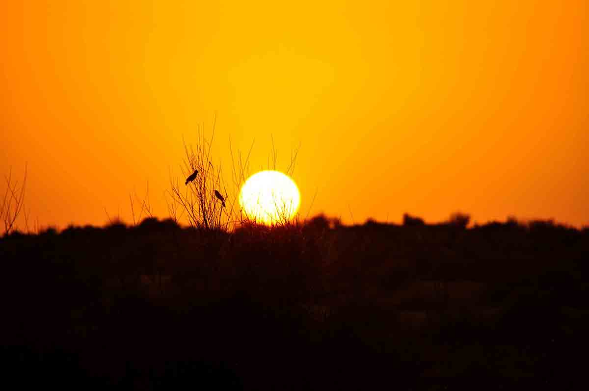 Places to Visit in Rajasthan