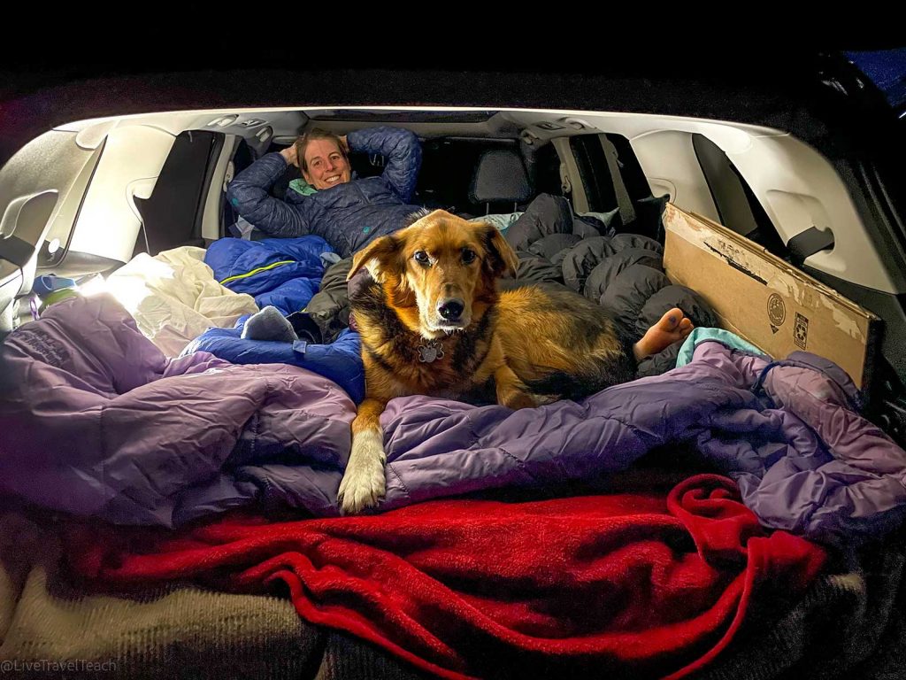 Crust Skiing a woman and a dog sleeping in the back of a vehicle