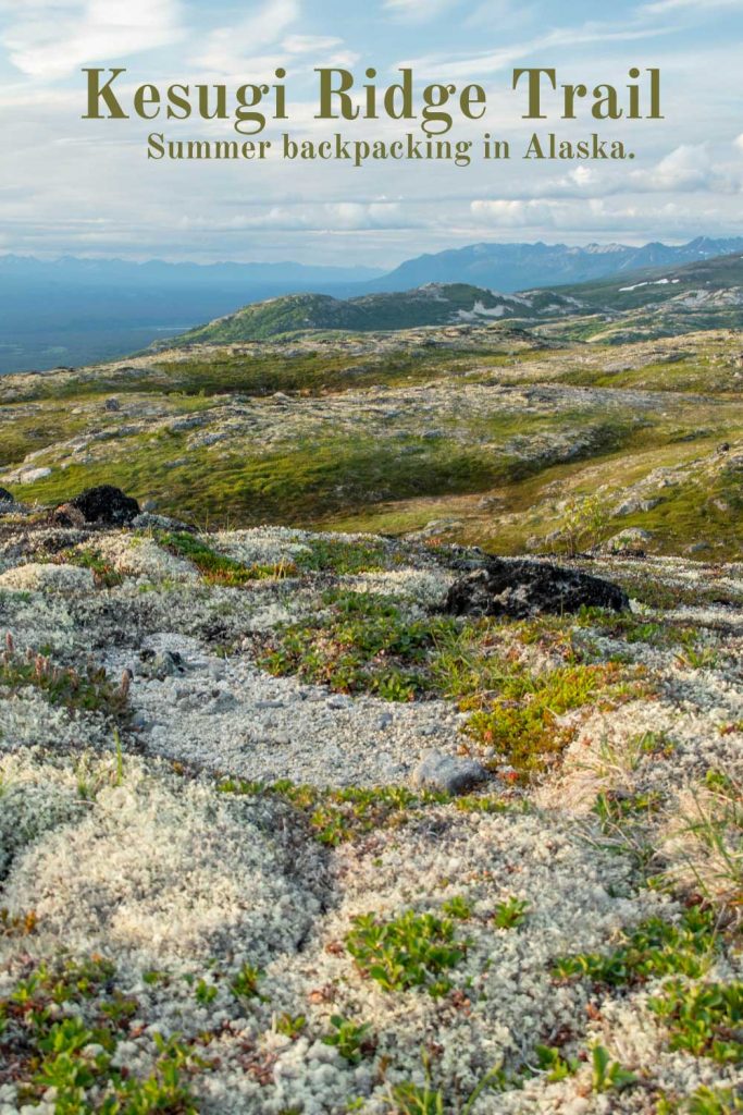 Kesugi Ridge Trail: Summer Backpacking in Alaska