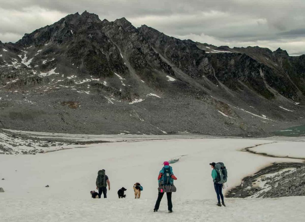 Alaska Backpackers and dogs on glacier in Hatcher Pass, Alaska