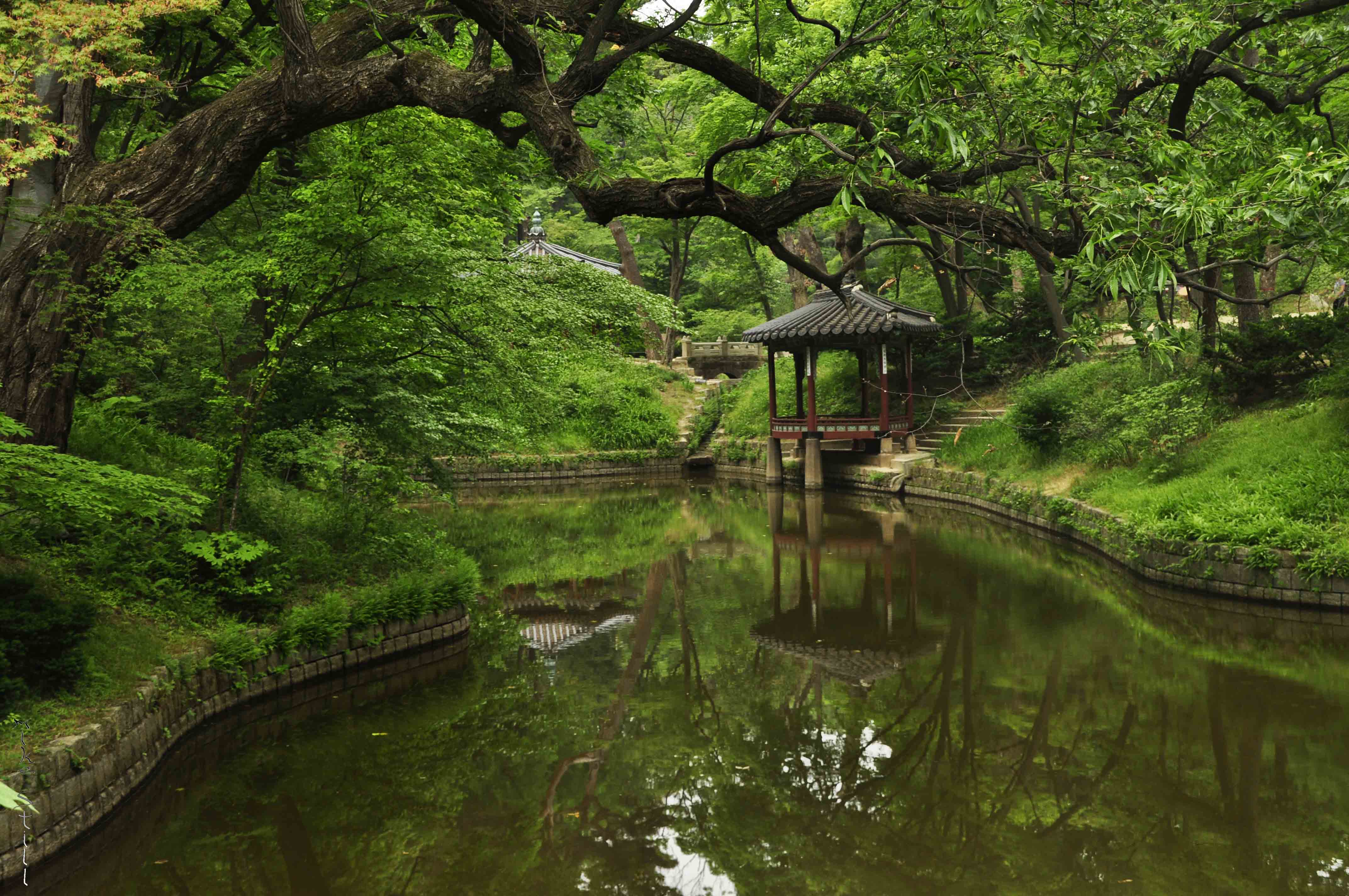 An Afternoon in Changdeokgung s Secret Garden  Seoul South Korea  Live Travel Teach