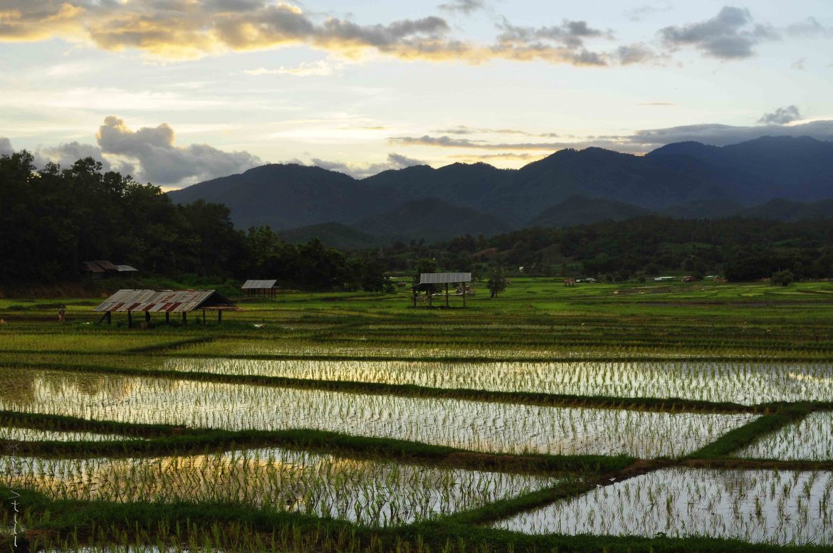 Mae Hong Son Loop – Part 1: Chiang Mai to Pai