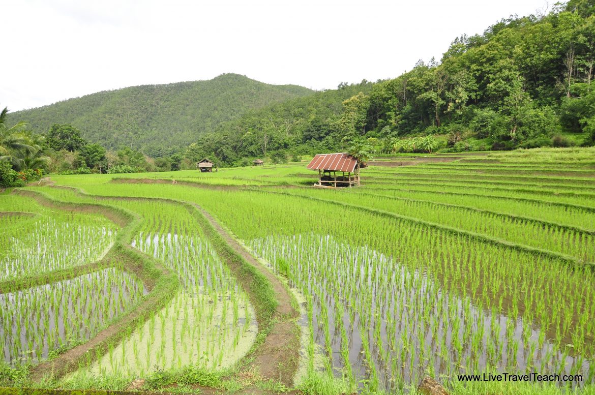 Top 10 Travel Photos of 2015 #9