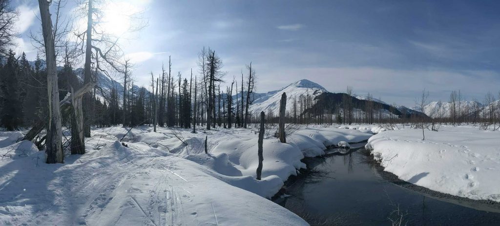 the Skookum Glacier trail area