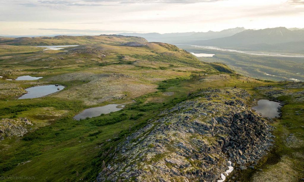 a tundra landscape