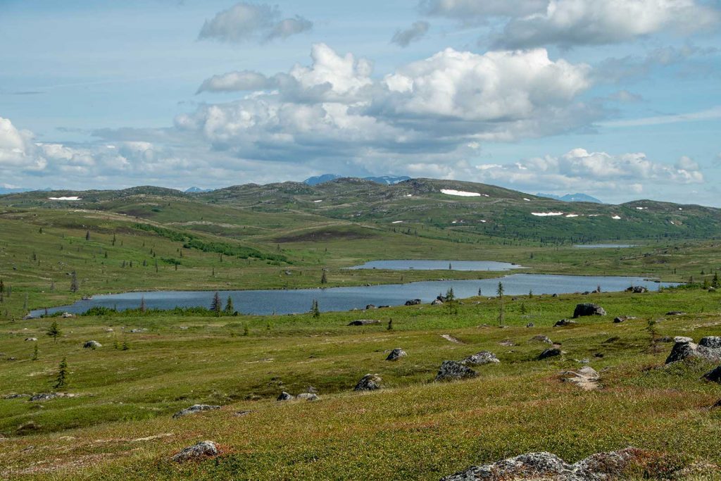 alpine tundra landscape