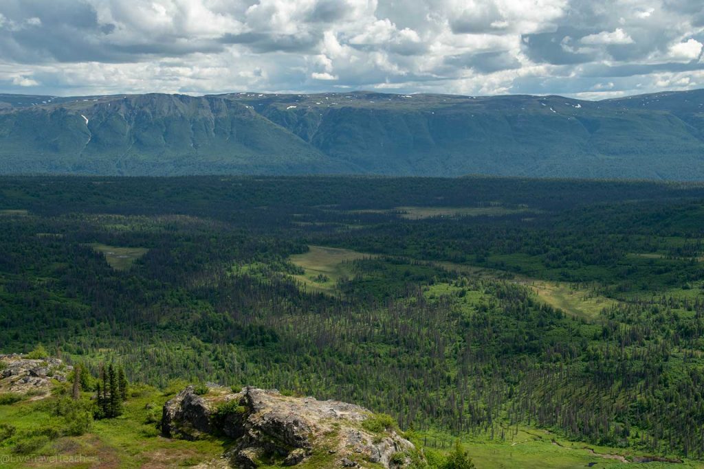 Kesugi Ridge Traverse in Denali State Park