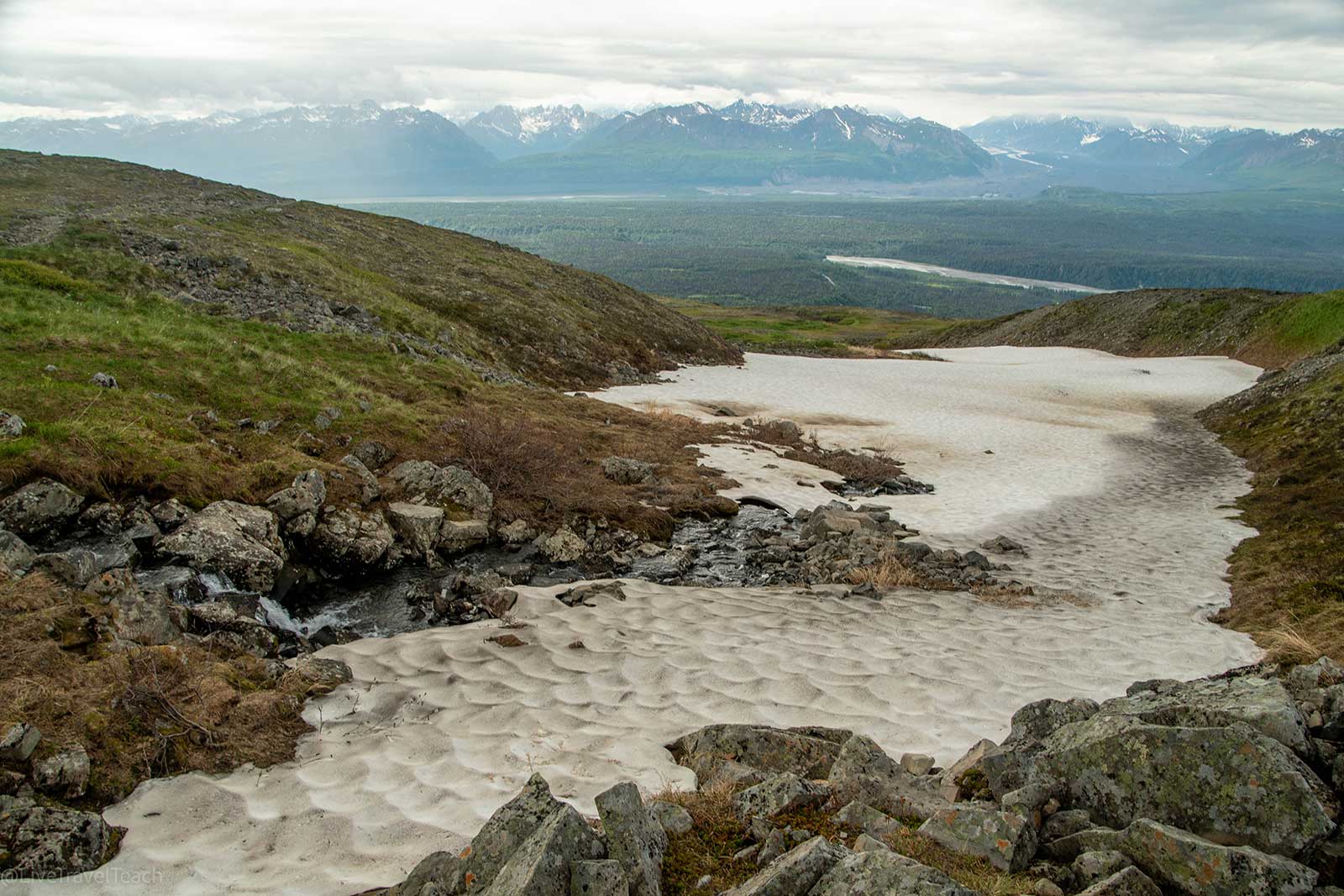 Kesugi Ridge Trail Backpacking Guide - Denali State Park