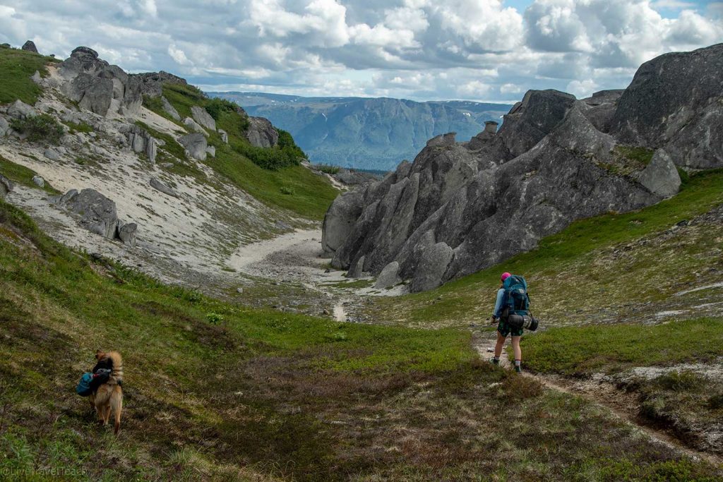 hiker and dog walking on Kesugi Ridge Trail