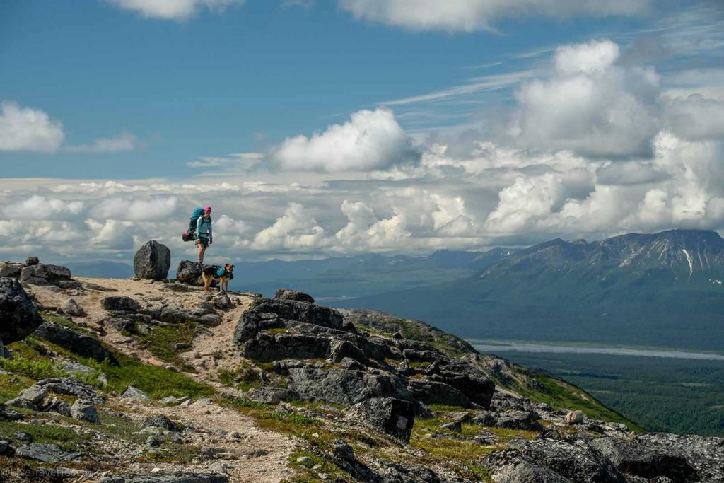 hikers on the Kesugi Ridge Trail in Denali State Park