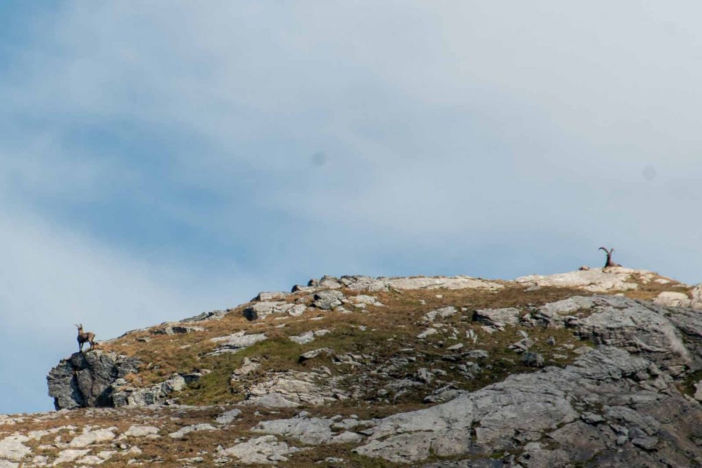 Col du Bonhomme