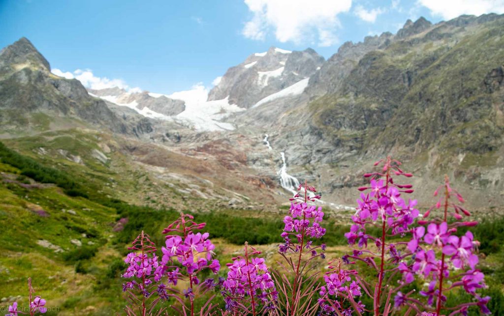 a scenic landscape in the Val Veny