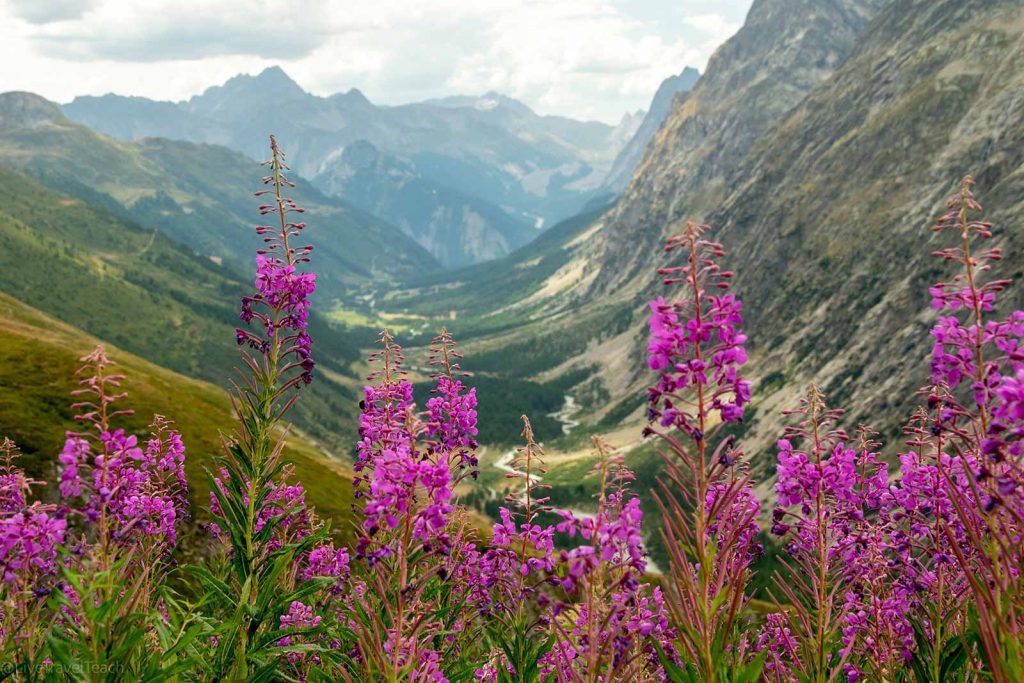 Tour du Mont Blanc a mountain valley scene in the Alps during summer
