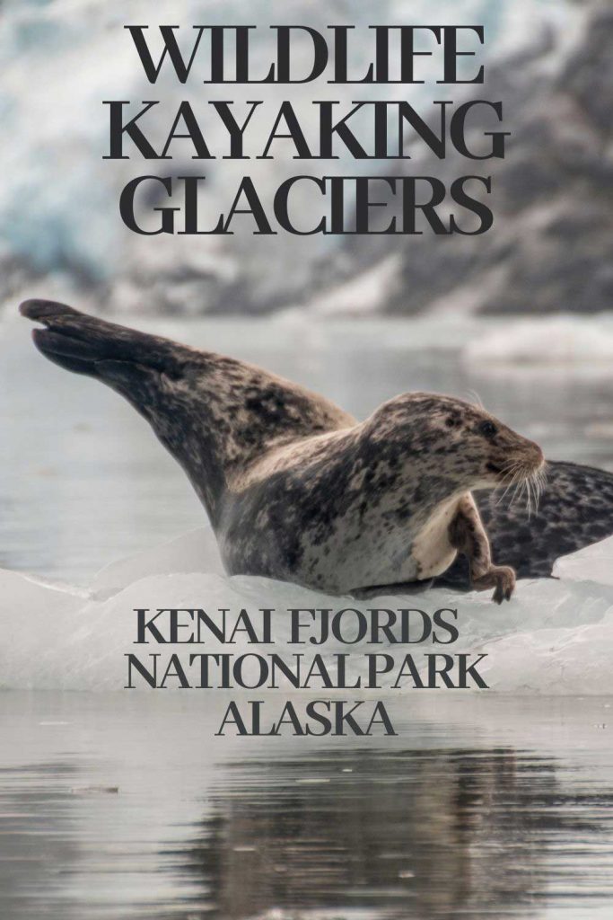 Kenai Fjords National Park Map Wildlife Kayaking Glaciers: Kenai Fjords National Park Alaska