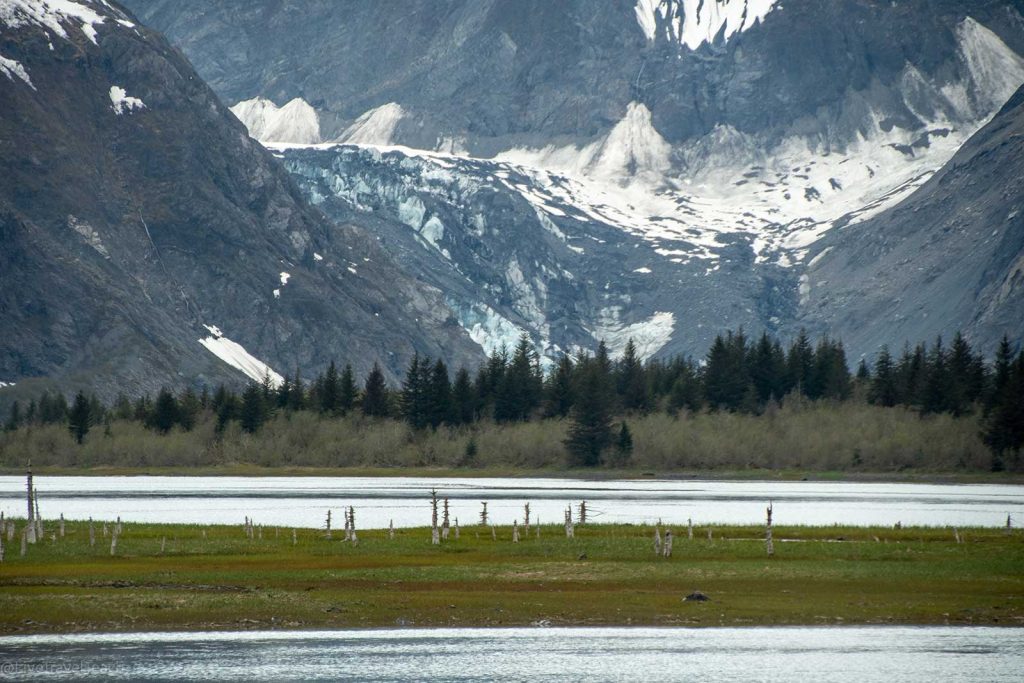 Aialik Glacier Kayaking Pedersen Glacier
