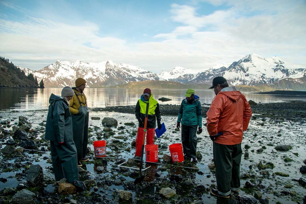 Aialik Glacier Kayaking Aialik Bay Research with the Gyre