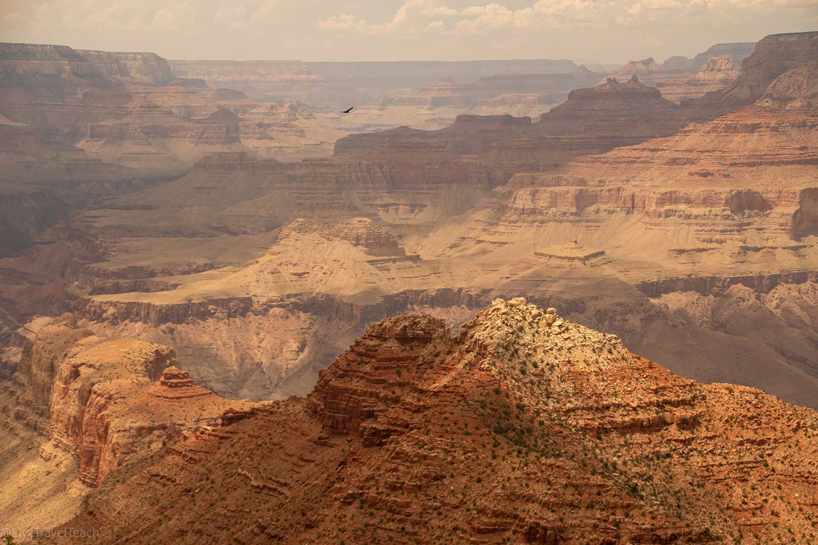 Top-down view of the South Rim of the Grand Canyon