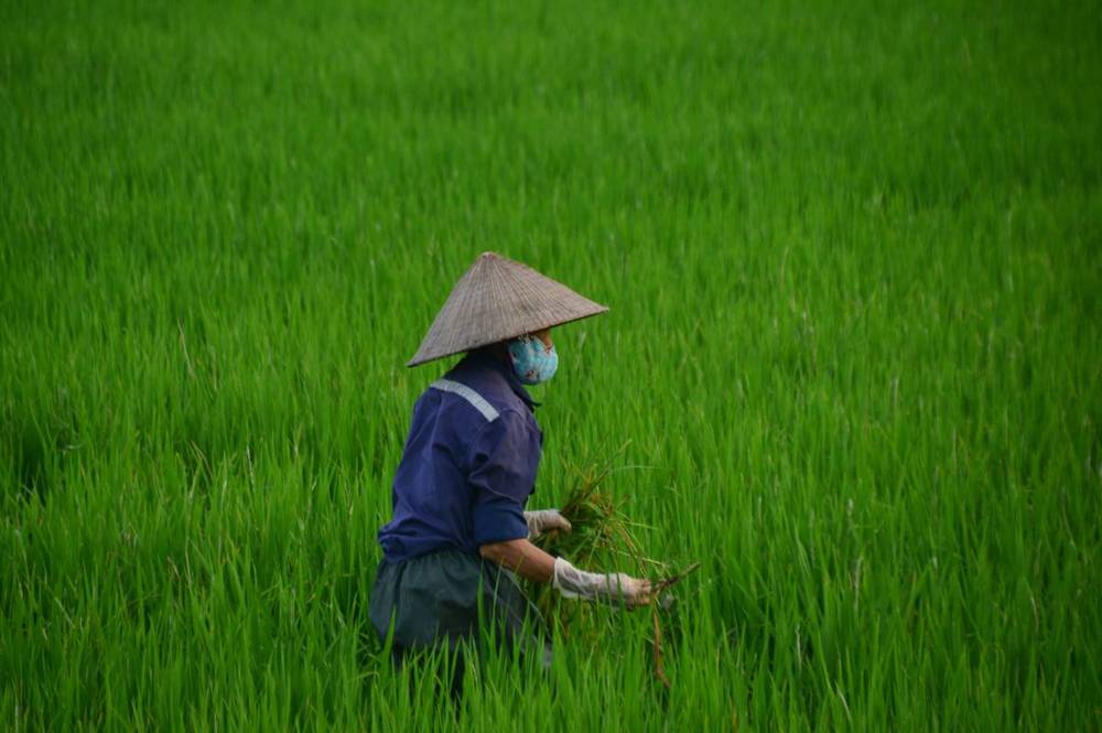 Places to See in Vietnam Ho Chi Minh City